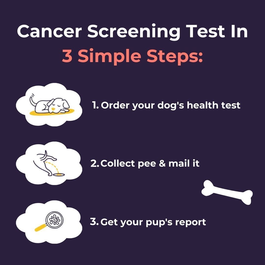 Cancer Screening Test for Dogs - Premium