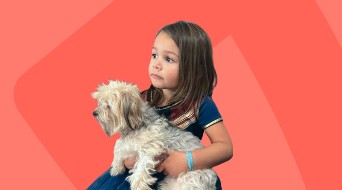 10 Common Warning Signs of Cancer in Dogs