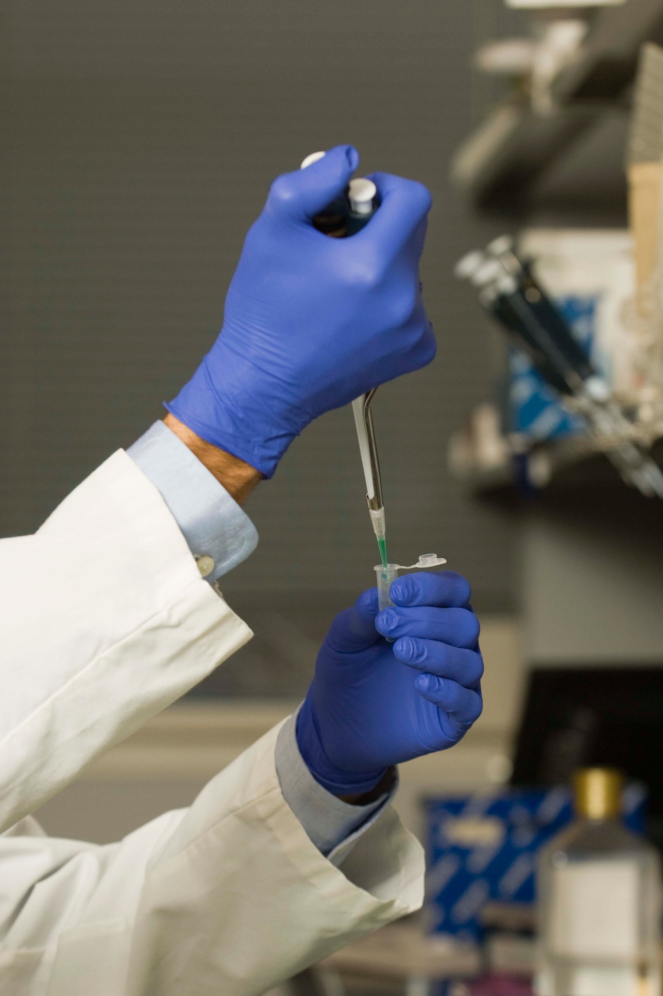 Oncotect Canine Cancer Research | Oncotect Cancer Screening Test for Dogs | Oncotect
