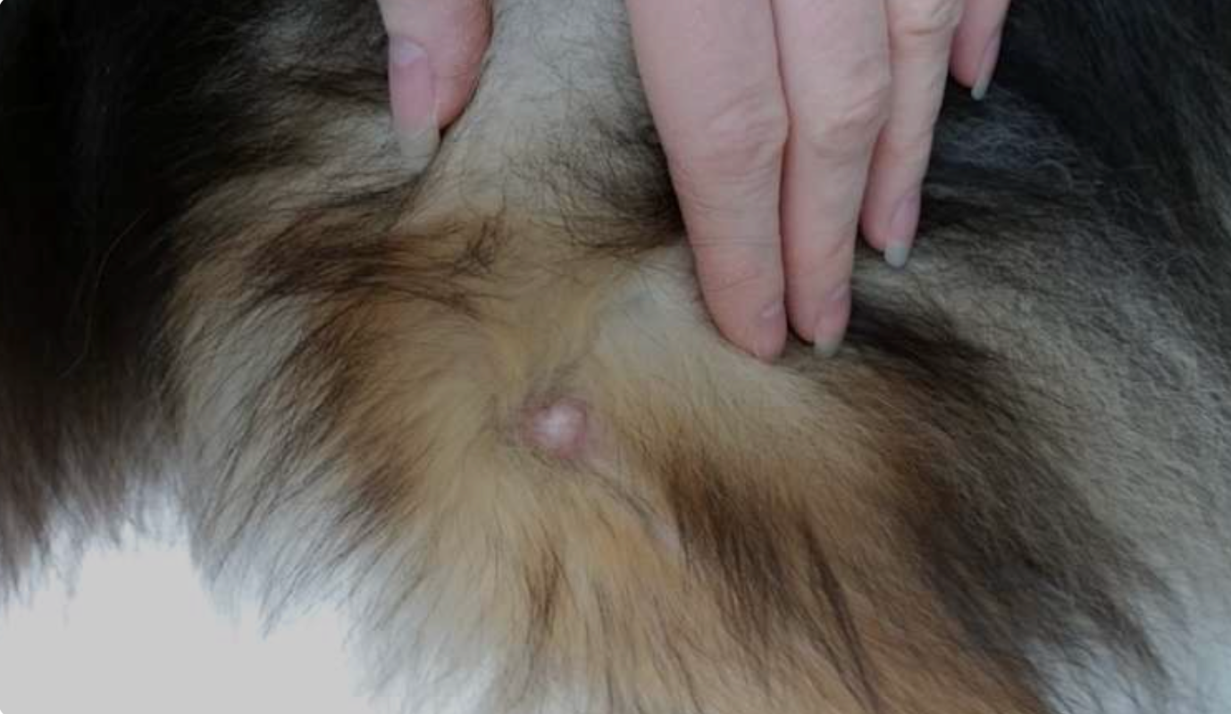 Finding small lumps early helps catch problems sooner.