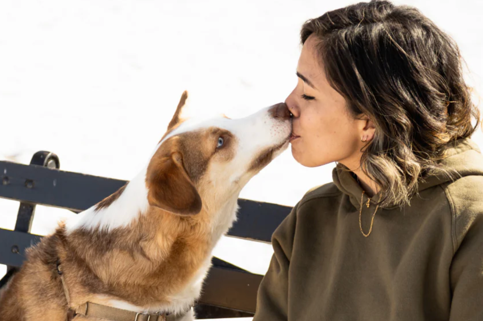 early signs of dog cancer