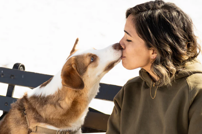 early signs of dog cancer