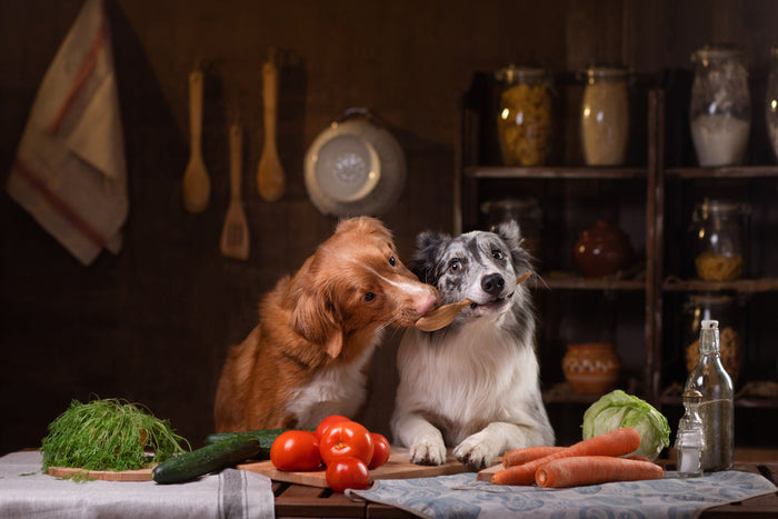 Dog bowl with balanced meal and colorful superfood toppers