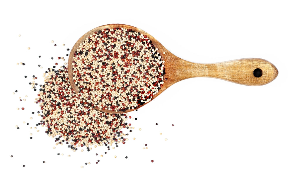 Is Quinoa Good for Dogs with Cancer? Things You Must Know