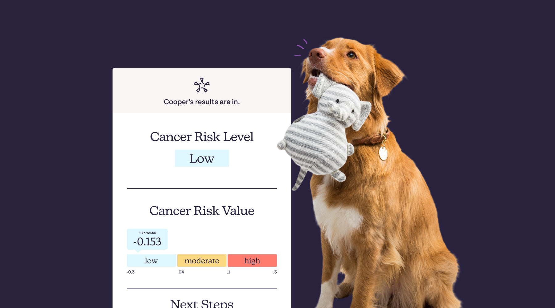 The Benefits of Screening for Cancer in Dogs Early