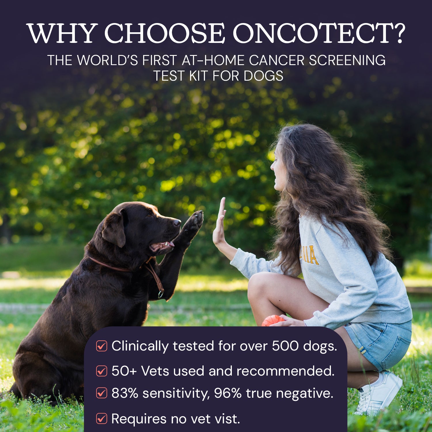 Oncotect Oncotect | The World's First At-home Cancer Screening Test for Dogs