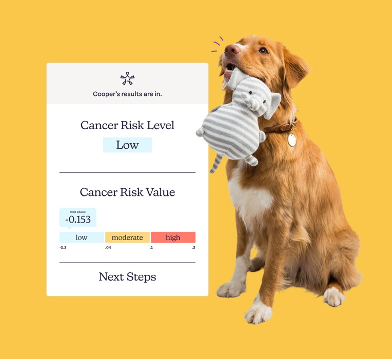 Oncotect For Pet Parents | Oncotect Cancer Screening Test for Dogs | Oncotect