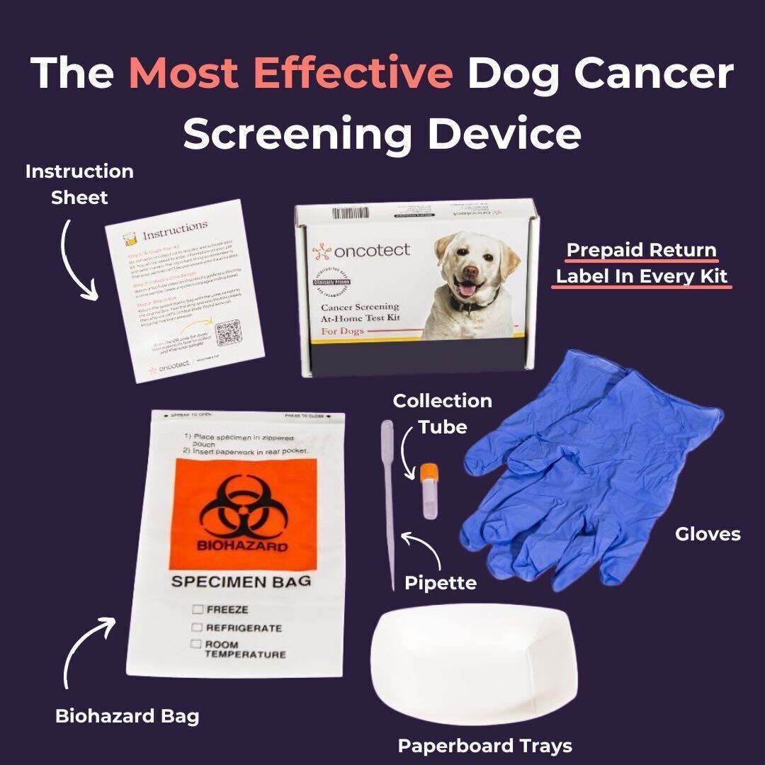 Oncotect Oncotect | The World's First At-home Cancer Screening Test for Dogs