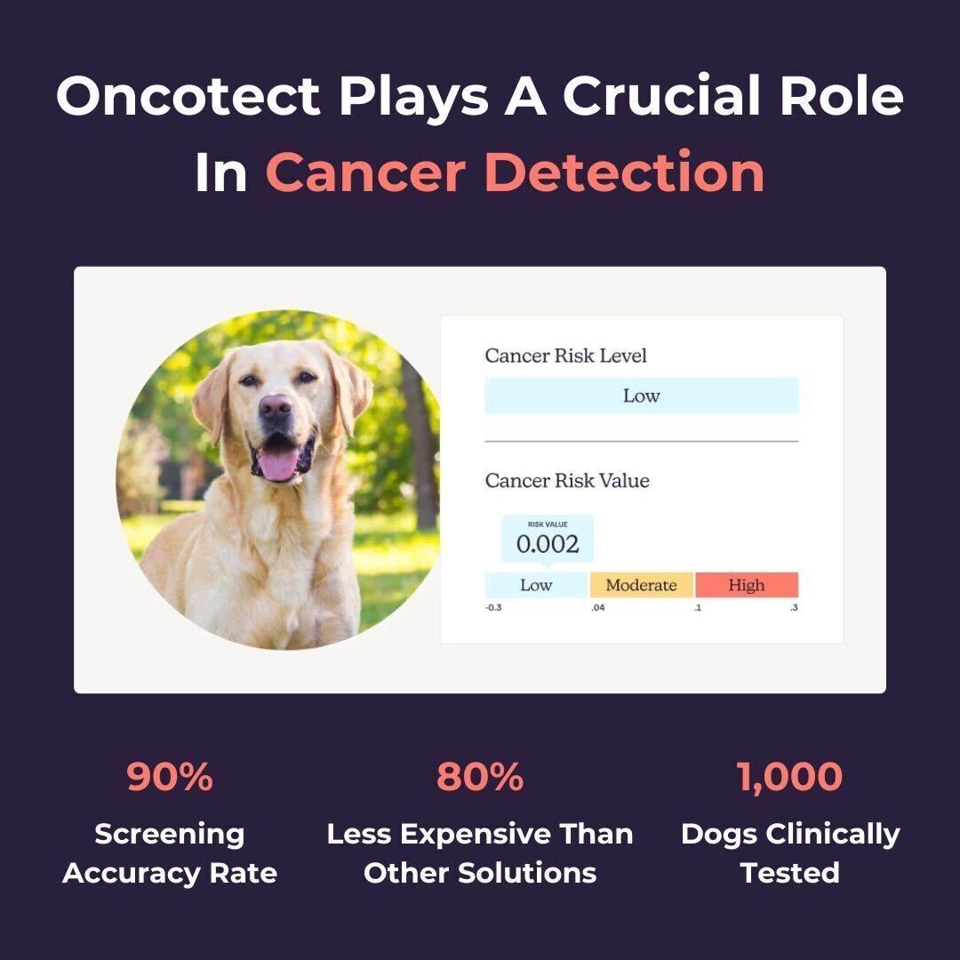 Oncotect Oncotect | The World's First At-home Cancer Screening Test for Dogs
