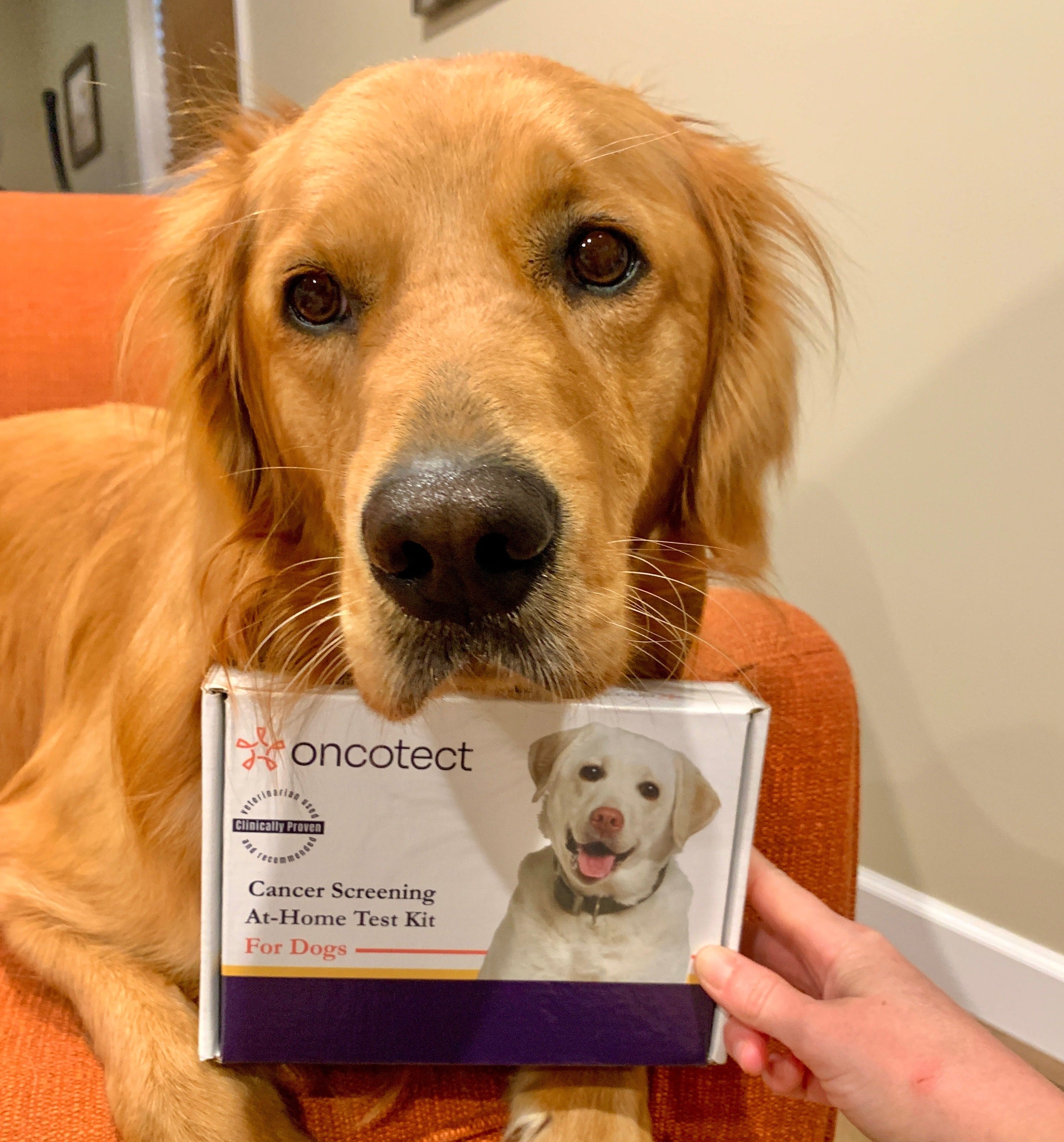 The World's First and Only At-Home Cancer Screening Test Kit for Dogs