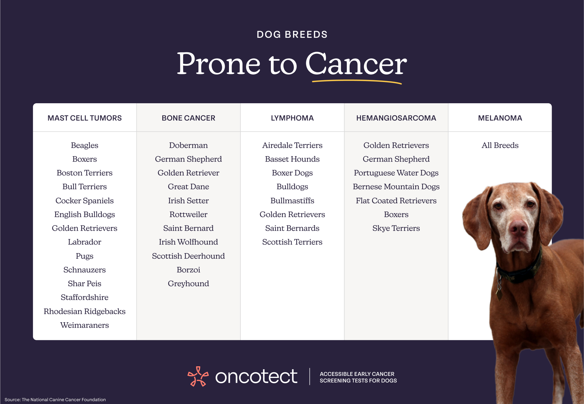 Dog Cancer Screening Test