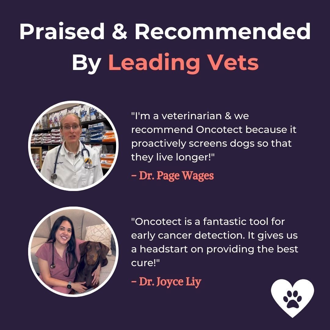 Oncotect Oncotect | The World's First At-home Cancer Screening Test for Dogs