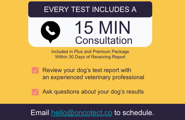 The World's First At-Home Cancer Screening Test Kit for Dogs