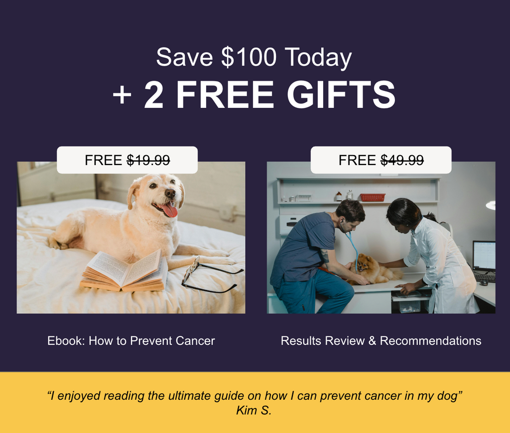 Oncotect At-Home Dog Cancer Screening Test by Oncotect, Fast & Accurate Results ...