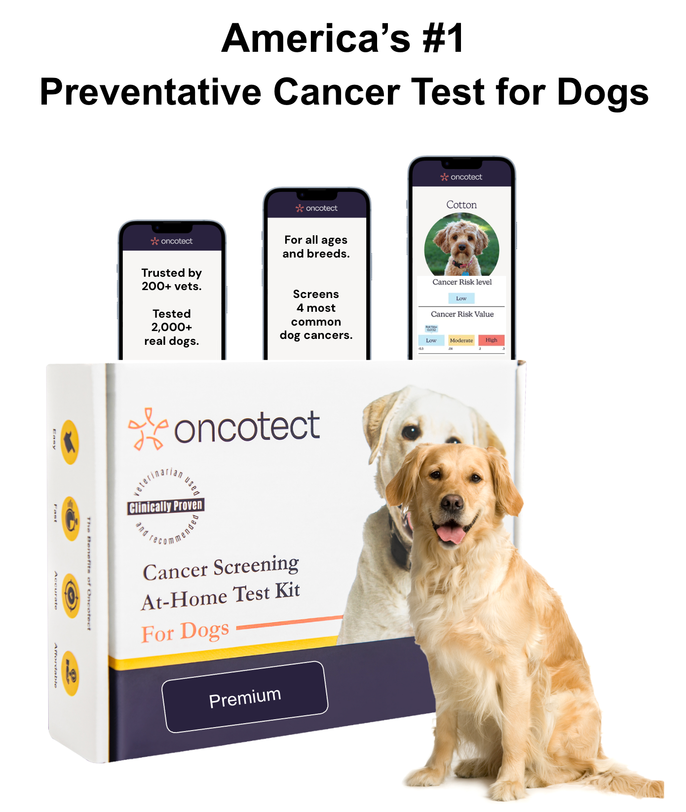 Oncotect Oncotect | The World's First At-home Cancer Screening Test for Dogs
