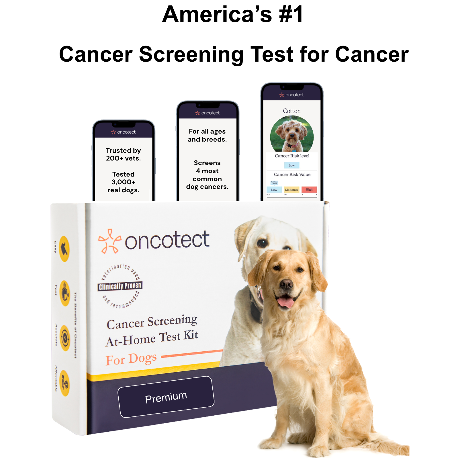 Cancer Screening Test for Dogs - Premium
